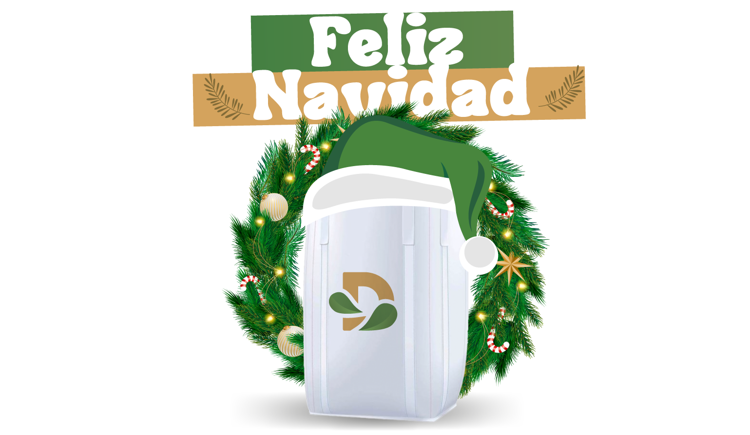 Welcome to the final 2021 edition of our Newsletter!