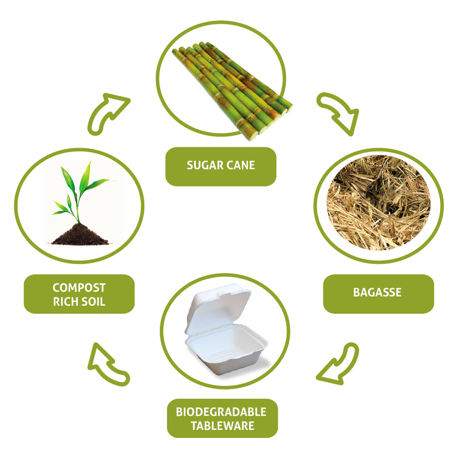 Biodegradable cycle Markets segments